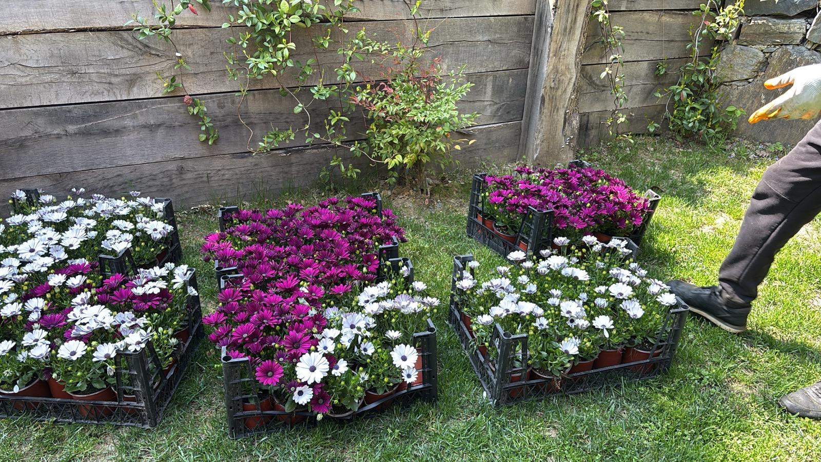 GÜNEŞ TARIM PEYZAJ VE TEMİZLİK